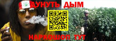 прущие грибы Волжск