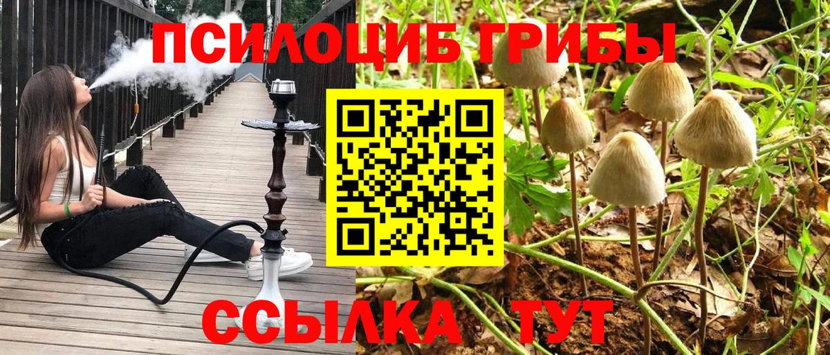 Галлюциногенные грибы мицелий Лесозаводск