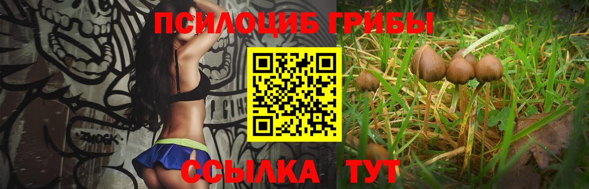 Галлюциногенные грибы мухоморы  Вход с VPN  Лесозаводск  Псилоцибиновые грибы прущие грибы 